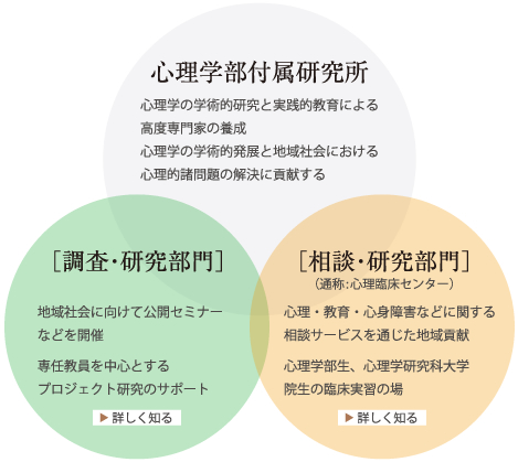心理学部付属研究所、調査・研究部門、相談・研究部門